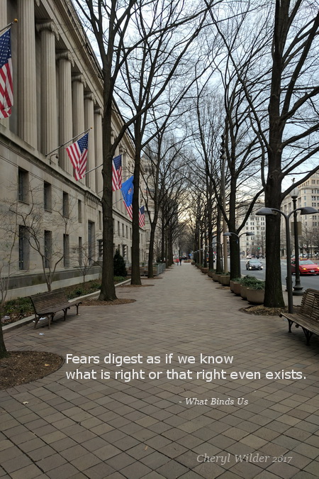 street in DC with govt. buildings and flags