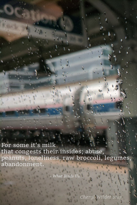 view from inside amtrak train with rain on windows