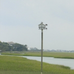 birdhouse over marshland with three birds