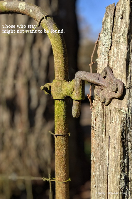 an iron gate as threshold covered in moss connected to worn wood post